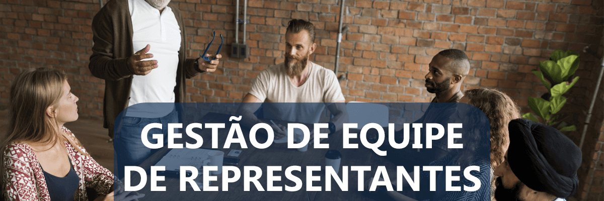 Gestao Equipe De Representante - AM Contabilidade
